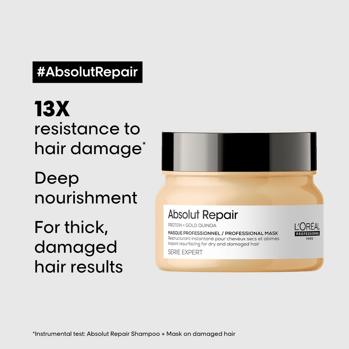 L'Oreal Professionnel Absolut Repair Hair Mask For Dry and Damaged Hair (490gm) - 2