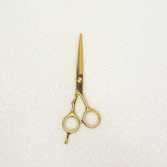 Ayty Pro Pro Scissor 5.5 - 2