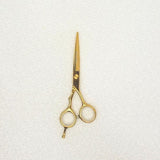 Ayty Pro Pro Scissor 5.5 - 2