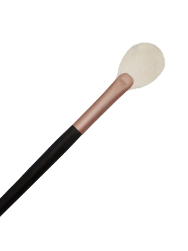Ay.ty Pro Fan Brush - 3