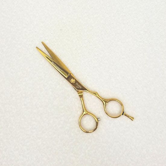 Ayty Pro Pro Scissor 5.5 - 3