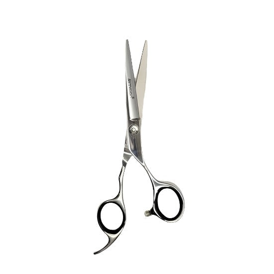 Ayty Pro Classic Scissor 5.5 - 2