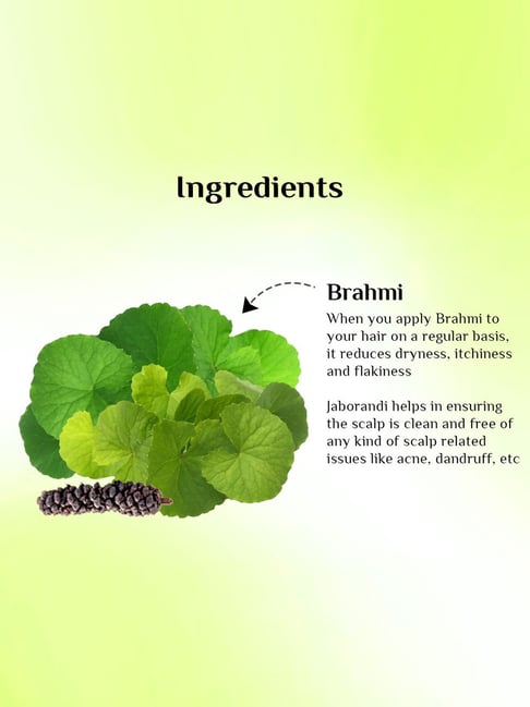 Richfeel Brahmi Jaborandi Hair Oil - 500ml - 5