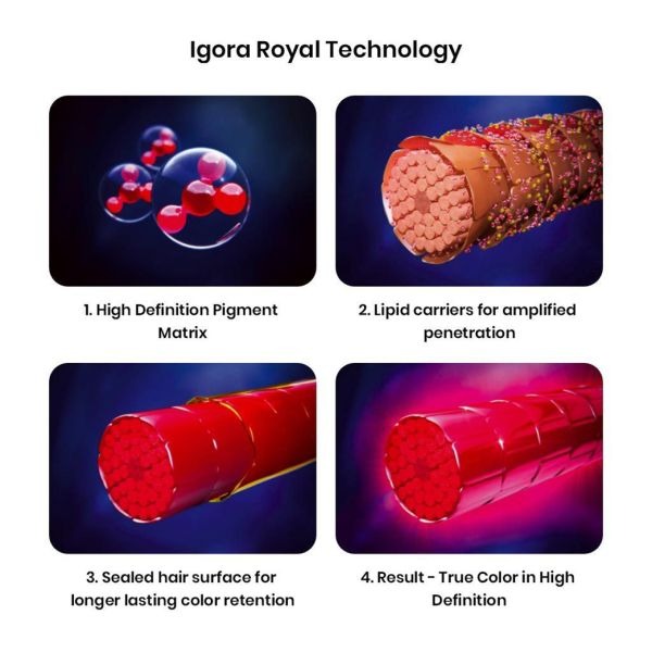 Schwarzkopf Professional Igora Royal Fashion Permanent Color Creme (L-00 Natural Extra) - 2